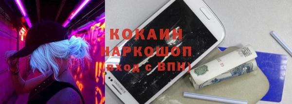 крисы Верея