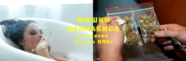 крисы Верея