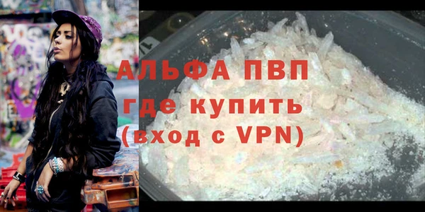PSILOCYBIN Богданович