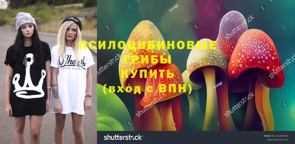 крисы Верея