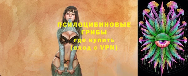 крисы Верея